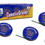 CAMELIA GRANDE