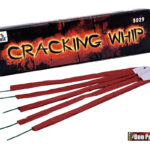 CRACKING WHIP