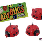 LADY BUG